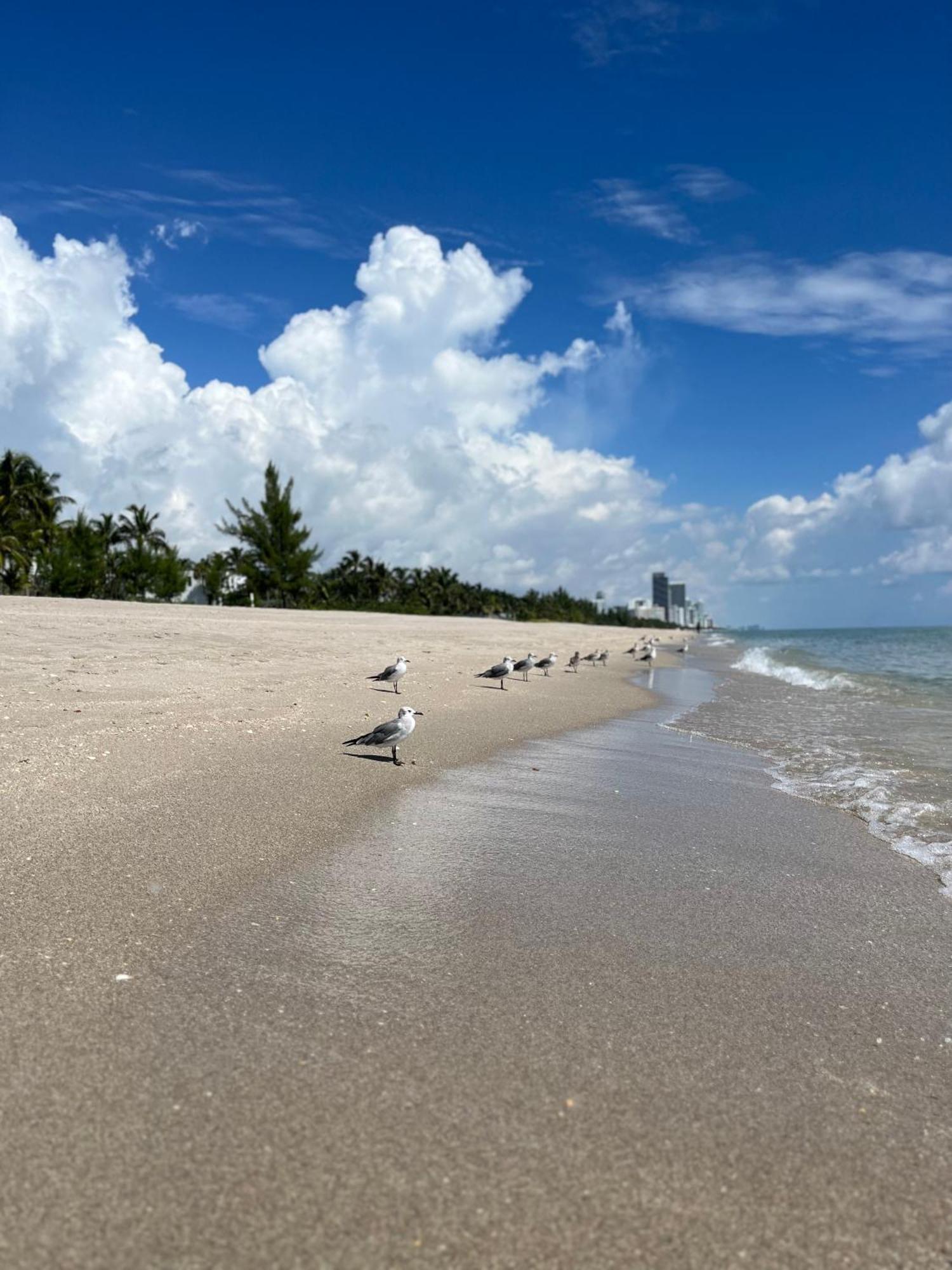 Apartamento Ocean Reserve 15th Floor - Gorgeous Ocean View - Str00907 Miami Beach